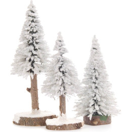 Fichte weiß, 3-teilig - 12 cm bis 16 cm