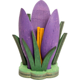 Crocus purple - 5 cm / 2 inch