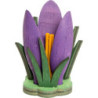 Krokus lila - 5 cm