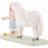 Flax Haired Children Little Girl with Horse - 5 cm / 2 inch