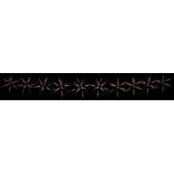 Herrnhuter Moravian Star Chain A1s White/Red Plastic - 14m/15yard