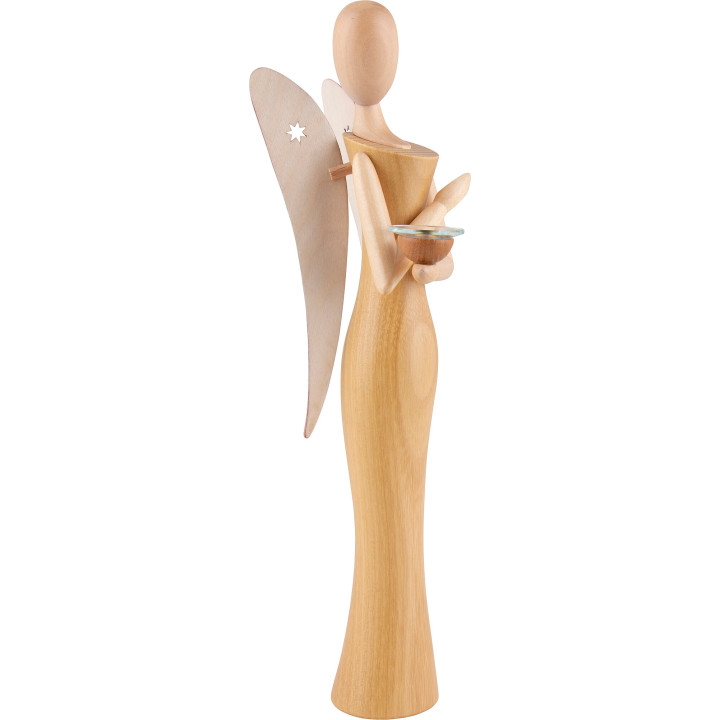 Sternkopf Angel Locust - 24,5 cm / 9.7 inch