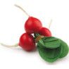 Radishes, Bunch - 11 cm / 4.3 inch