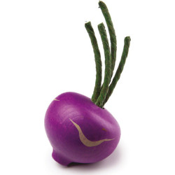Kohlrabi, Blue - 9 cm / 3.5 inch