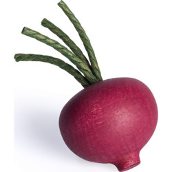 Beetroot - 9 cm / 3.5 inch