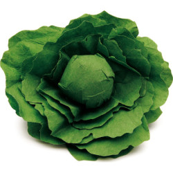 Head of Lettuce - 12 cm / 4.7 inch