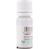Premium Holzkaltleim Express 10 ml