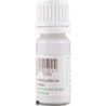 Premium Holzkaltleim Express 10 ml