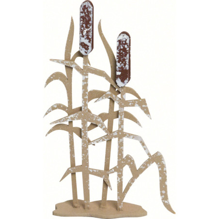 Reed - Set of Three - 6 cm / 2.4 inch