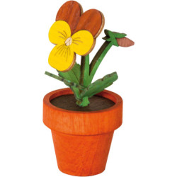 Stiefmütterchen - 7,5 cm