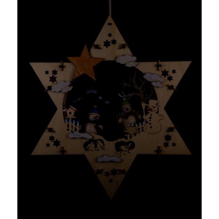 Window Picture - Winter Star - 28 cm / 11 inch