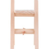 Setzleiter mit 2 Einlegebrettern - 5 cm
