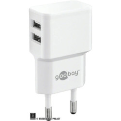 Double USB Wall Power Supply 110-220V/5V - 2 cm / 0.8 inch