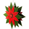 Window Picture - Christmas Star Green/Red - 28 cm / 11 inch