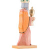 Wise Man with Yellow Cape - 6,8 cm / 2.7 inch