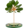 1-Tier Pyramid - Seasons Tree - 42 cm / 16.5 inch