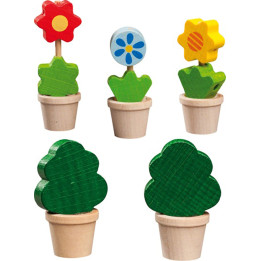 3 Blumen & 2 Grünpflanzen